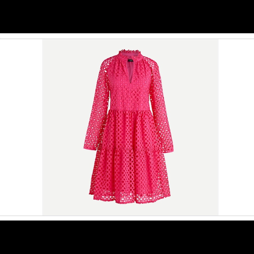 New J.Crew eyelet dress